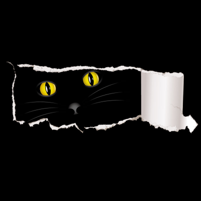 litle cat