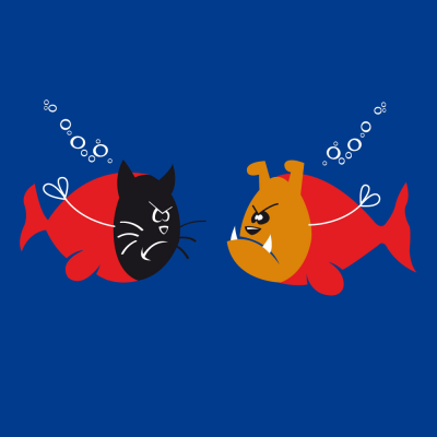 fish
