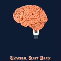 USB Universal Slave Brain