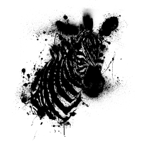 zebre