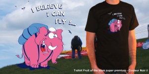 Just believe you can fly&nbsp;par&nbsp;Bibine