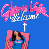 silicone vallée