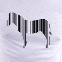 Code zebre