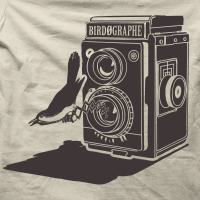 Bird�graph v3