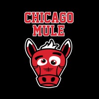 chicago mule