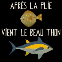 Proverbe breton