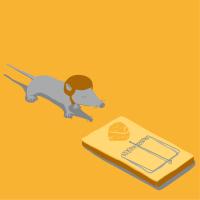 Souris