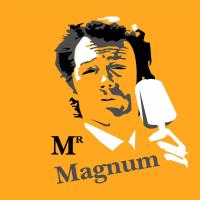Mr Magnum