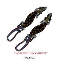 la vie est un combat