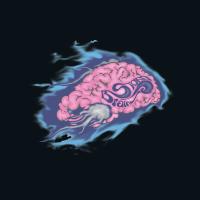 the brain 2