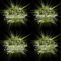 InfraBass Addict MAJ 5