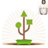 USBonsaï 2.0 ( 2ème mise à jour)