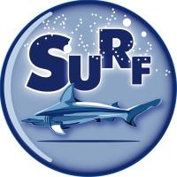 surf