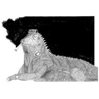 Lezard