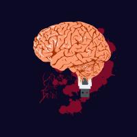 USB Universal Slave Brain vers.2