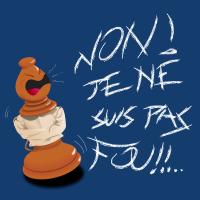 Le fou (maj)