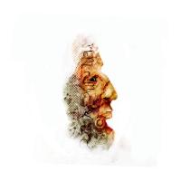 le visage