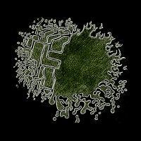 ElementDraw