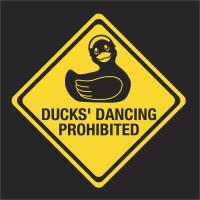 ducks' dancing