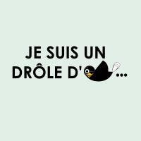 je suis un drôle d'oiseau