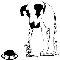 casse toi pauvre con