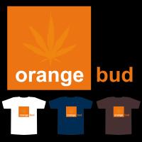 Orangebud2