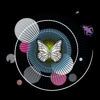 papillon