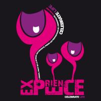 experience