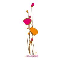 my nature is couloured