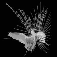 quadriskull