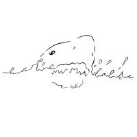 SHARK (utage)