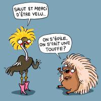 Touffi et Poilette 3