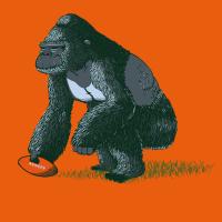 go go gorille