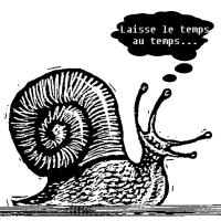 Laisse le temps au temps...