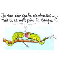 cameleons