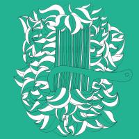 Une bonne hygiène capilaire est importante!!!