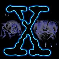 The X Fly
