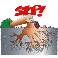 stop