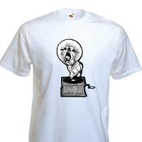 la voix de son maitre