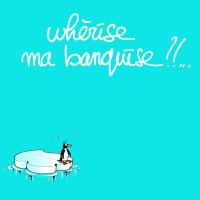 banquise