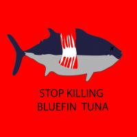 bluefin tuna