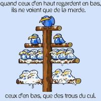 Hierarchy