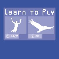 Learn to fly