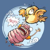 Stupid bird