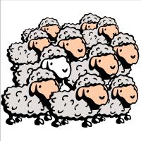 moutons