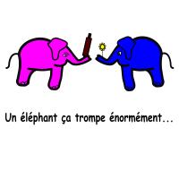un éléphant ça trompe