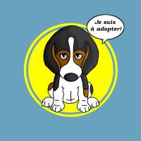 A adopter