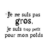Je ne suis pas gros