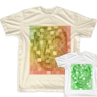 Hologramme