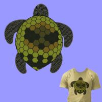 Qawana Save the Turtles 
